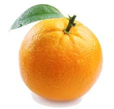 Fruit
